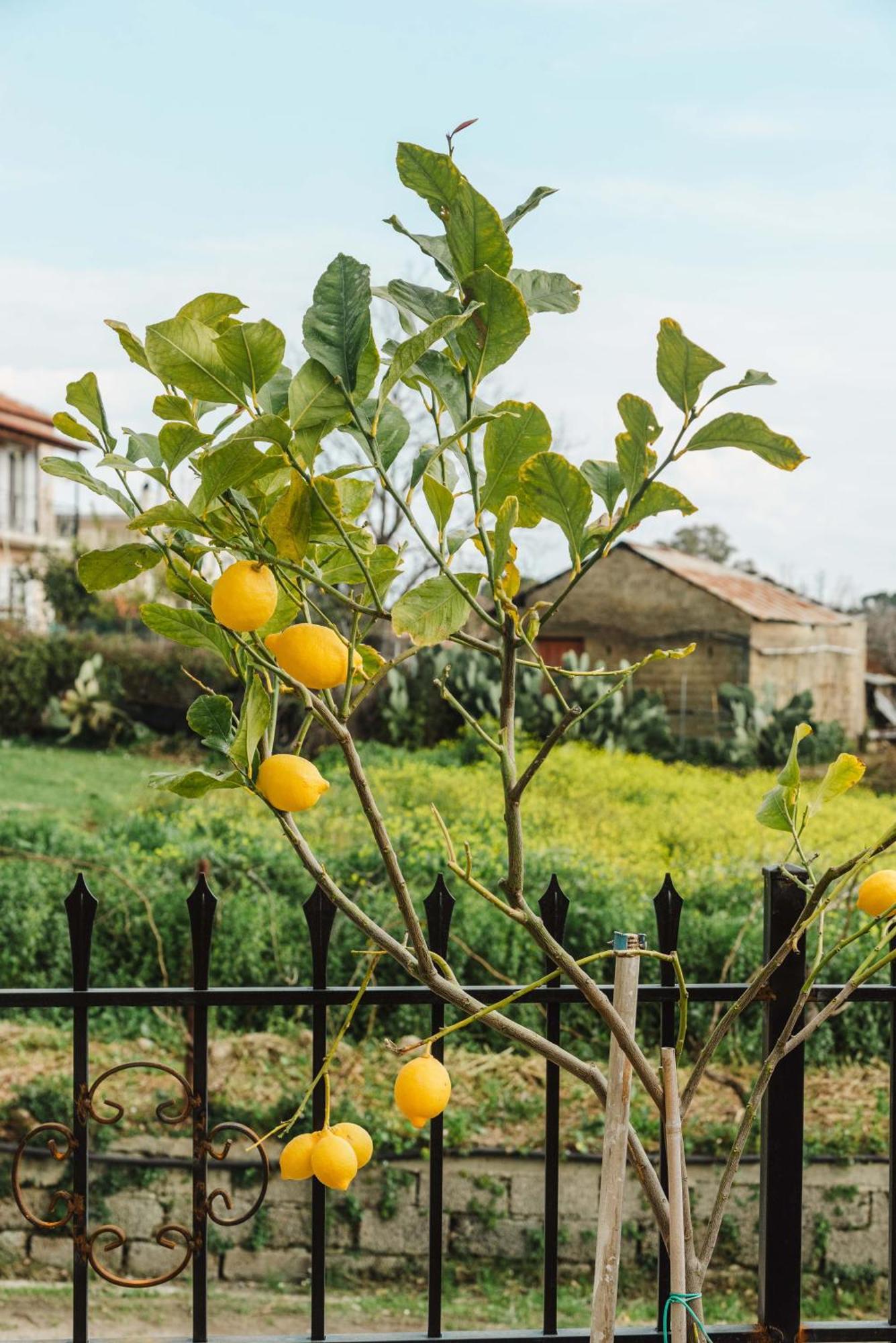 Appartamento Casa Matina *